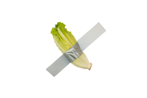 Stuck lettuce